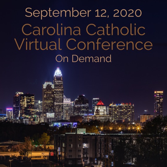 CCRN Virtual Conference, 2020